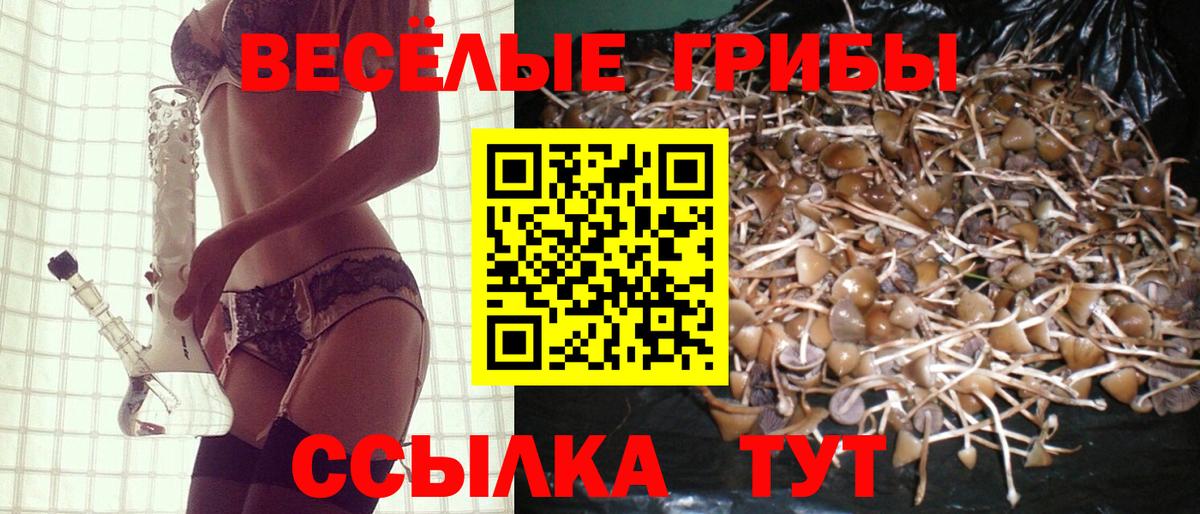 Галлюциногенные грибы мухоморы  Вход с VPN  Джанкой 